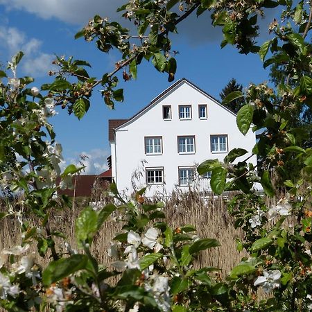 Das Haus Am Teich Gross Grabow Exteriör bild