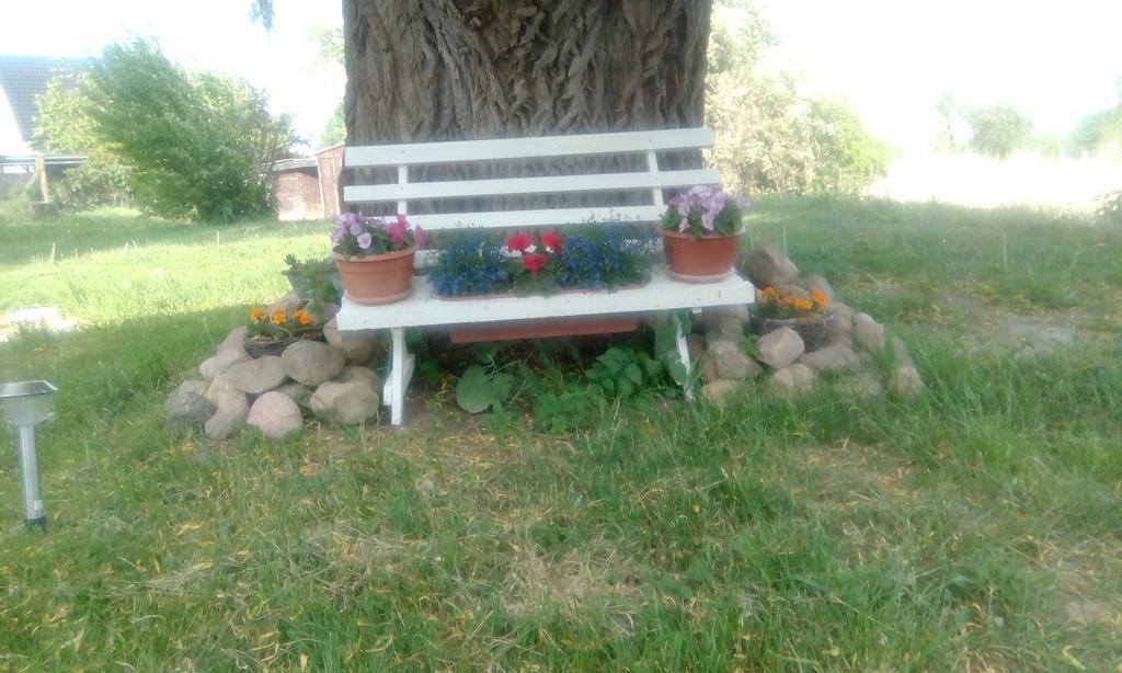 Das Haus Am Teich Gross Grabow Exteriör bild