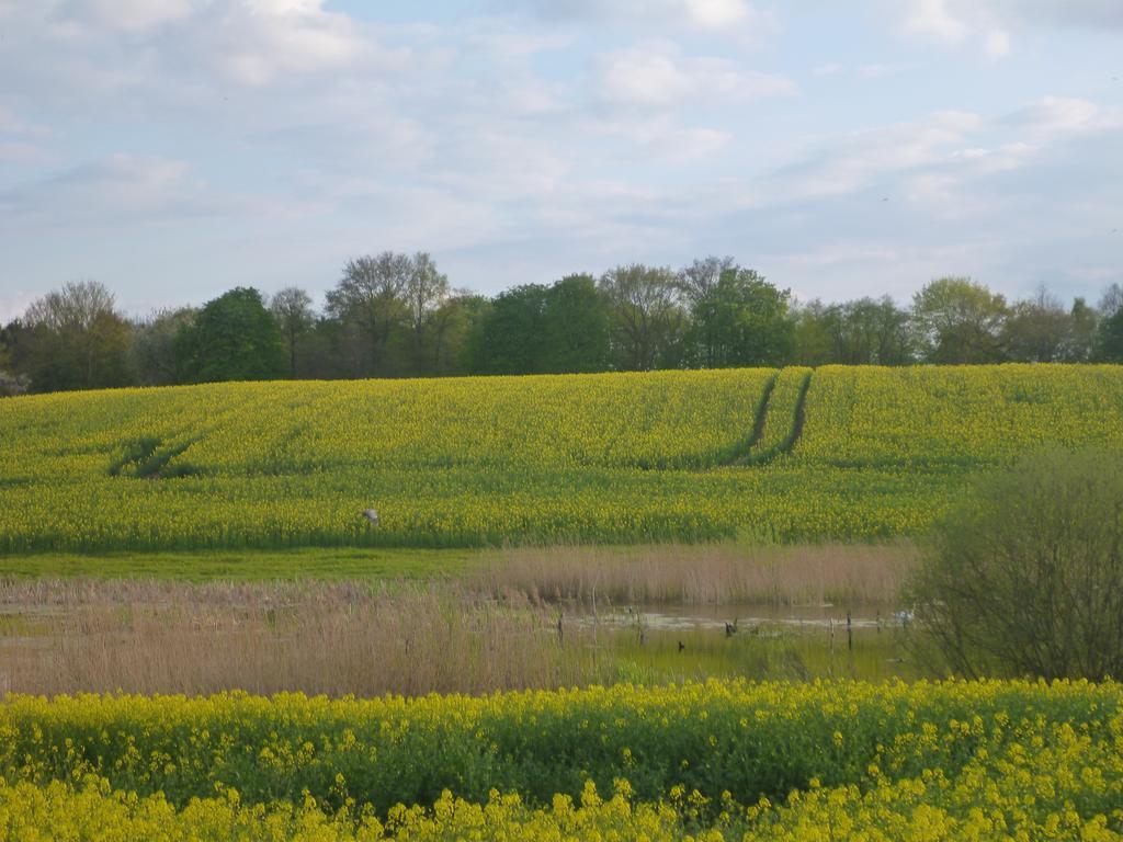 Das Haus Am Teich Gross Grabow Exteriör bild
