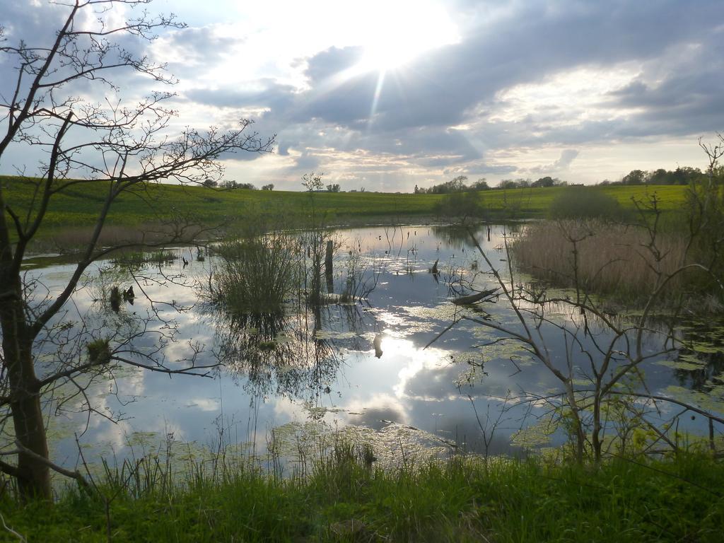 Das Haus Am Teich Gross Grabow Exteriör bild